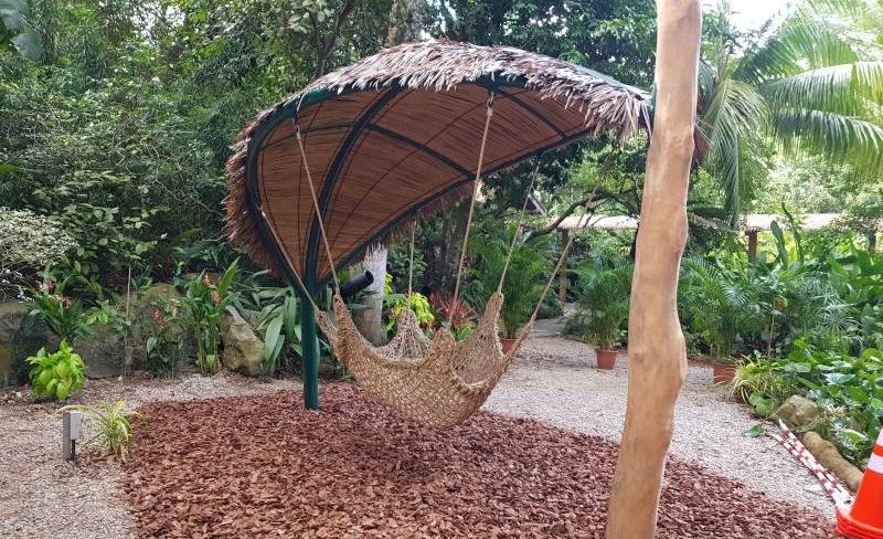 20200123_162455-800x700